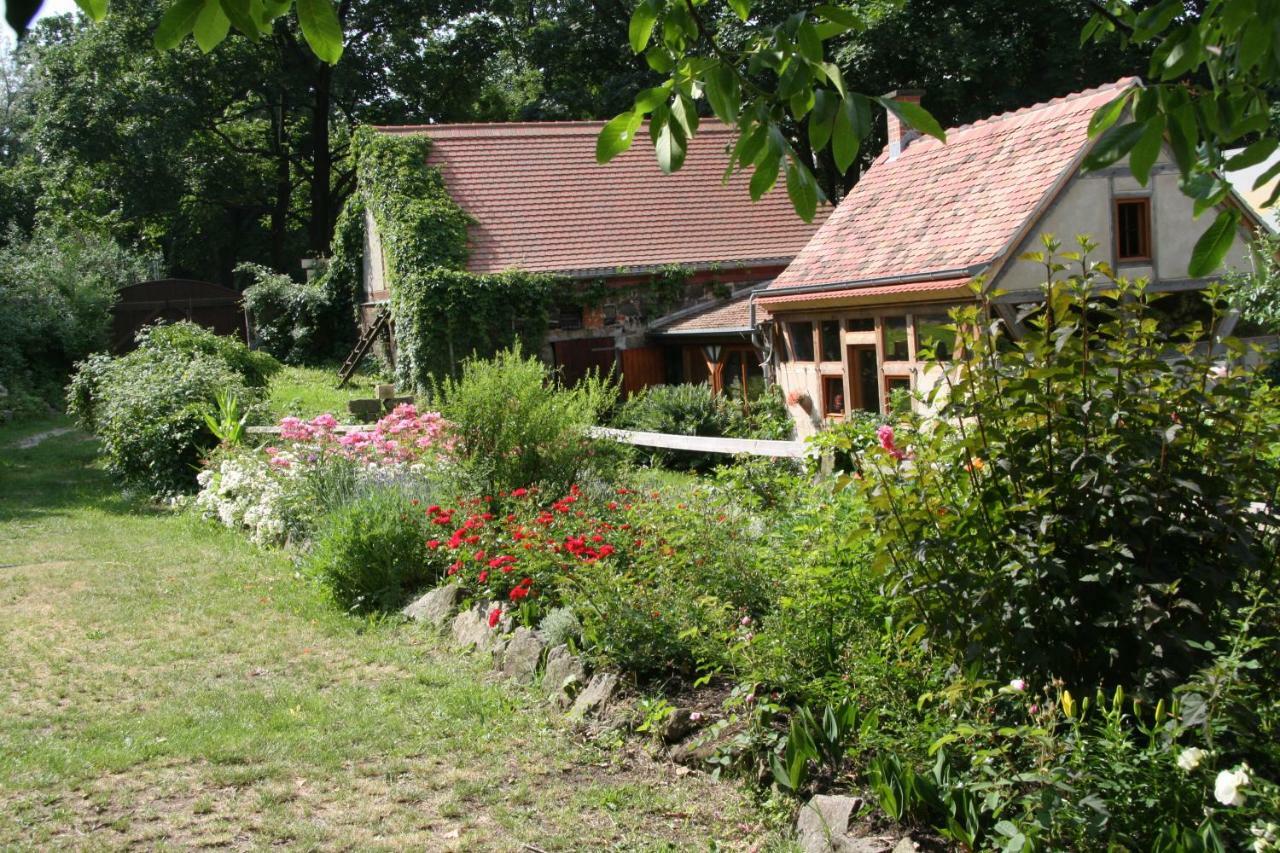 Poncet'Sches Herrenhaus Dresden Eksteriør billede